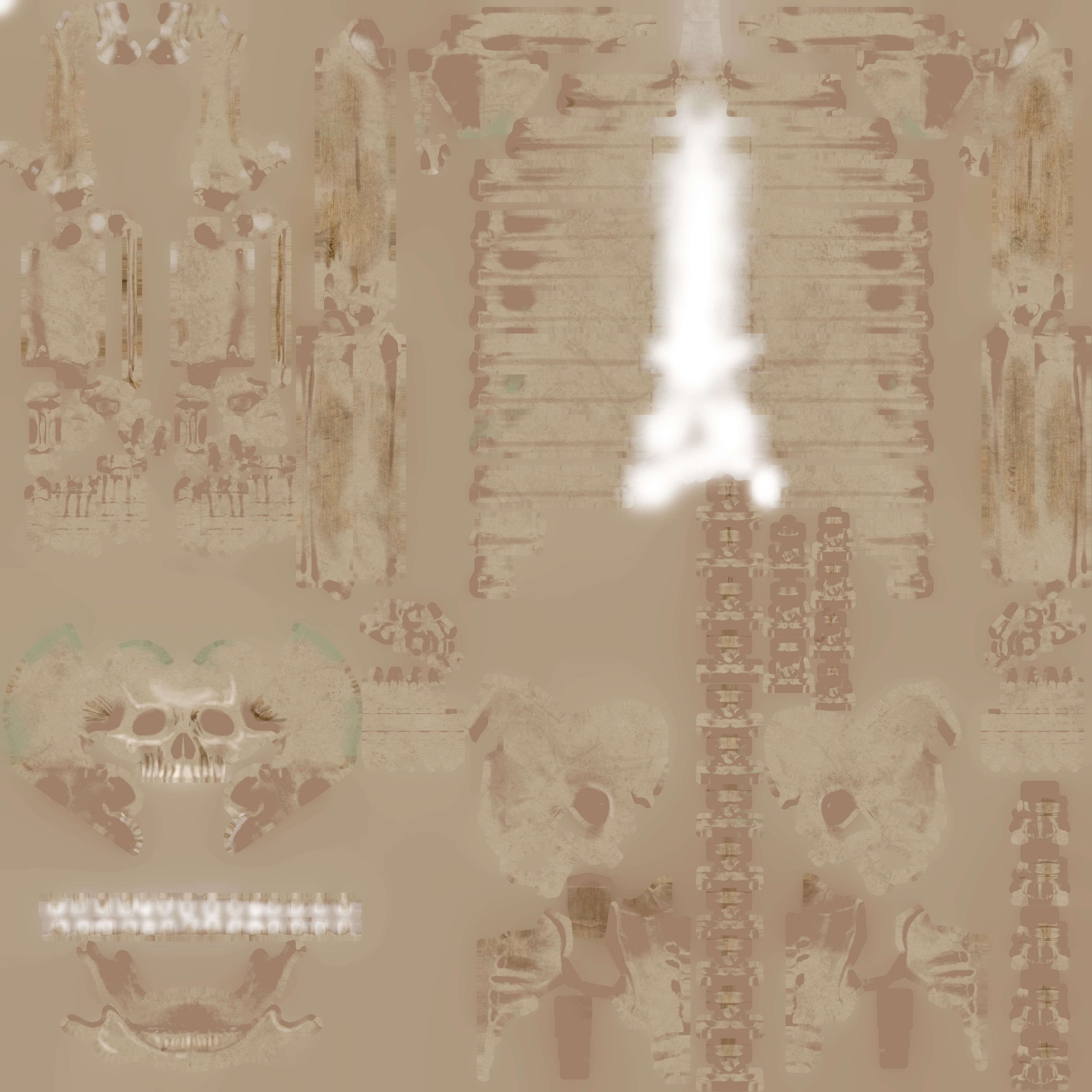 Human Skeleton 3D model_8