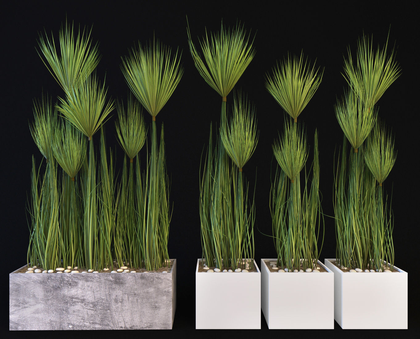 Plants 19 3D model_14