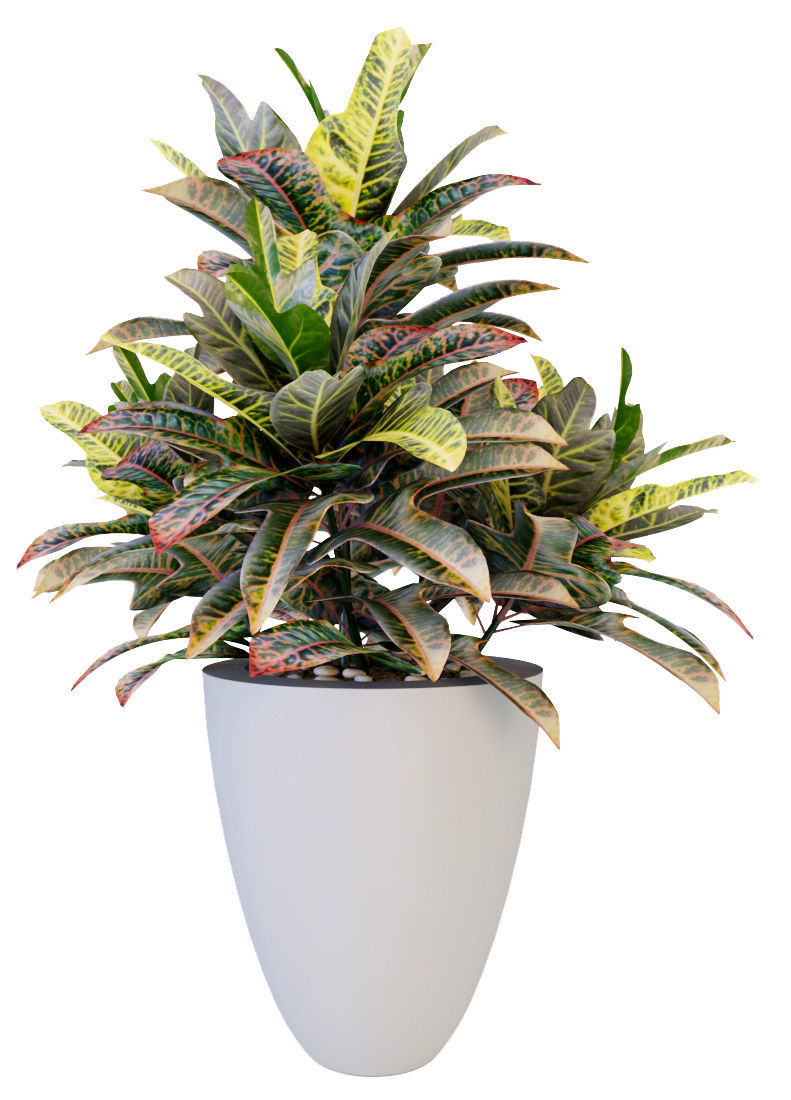 Plants 19 3D model_8