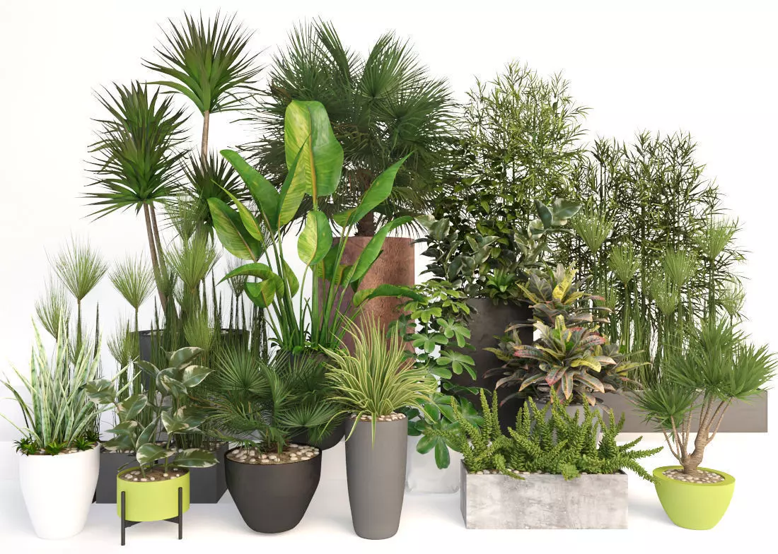 Plants 19 3D model_0