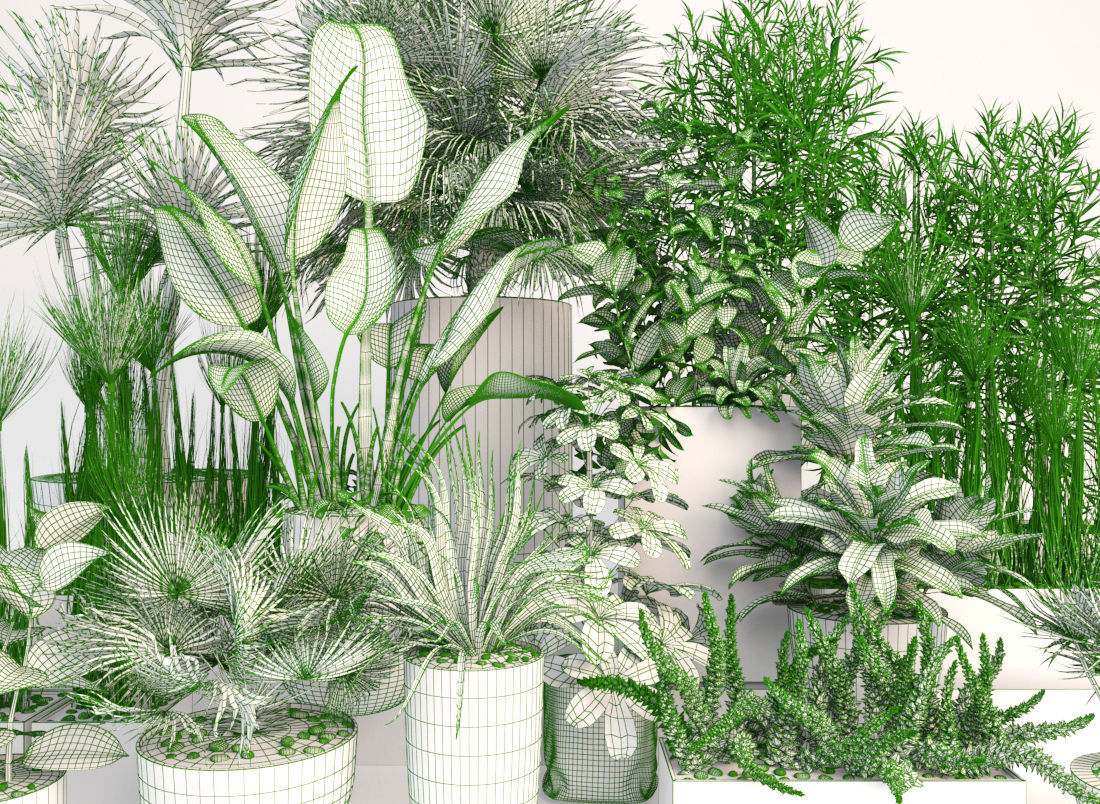 Plants 19 3D model_4