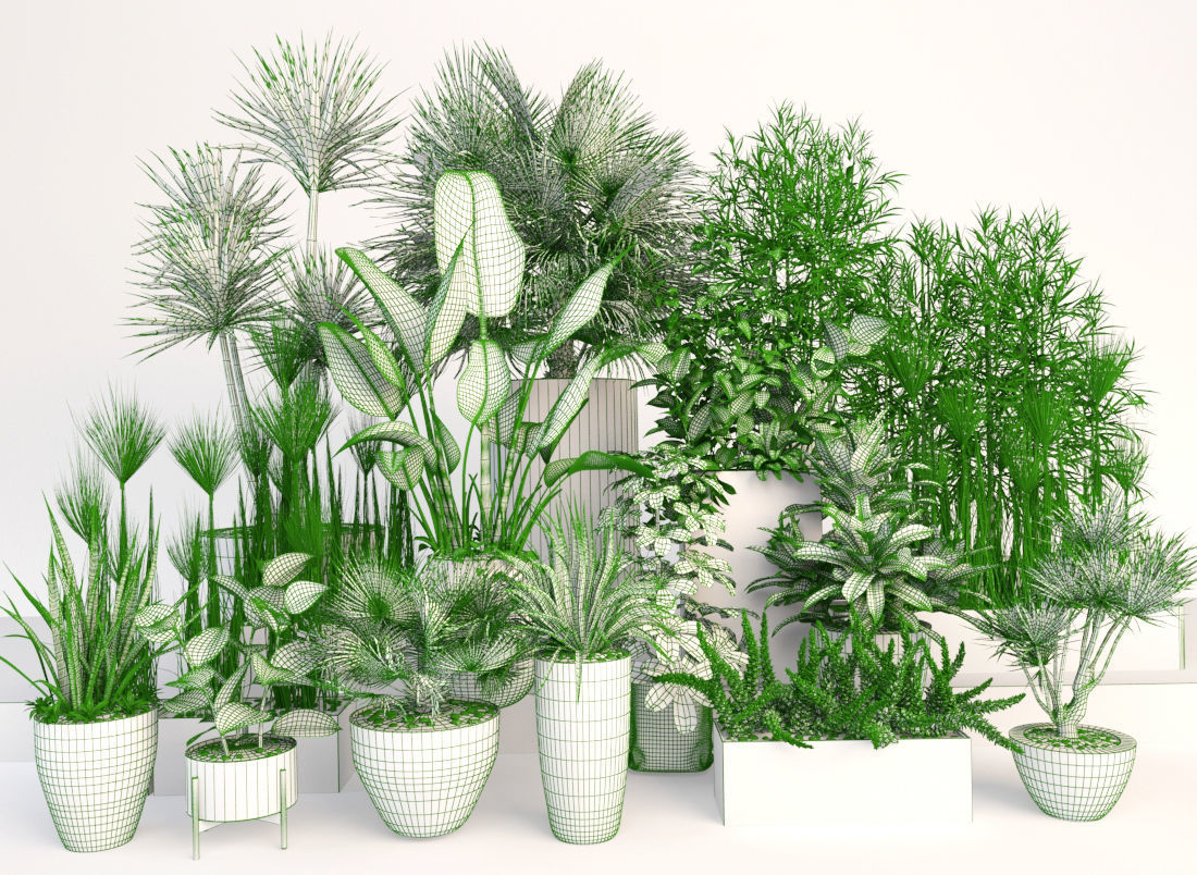 Plants 19 3D model_3