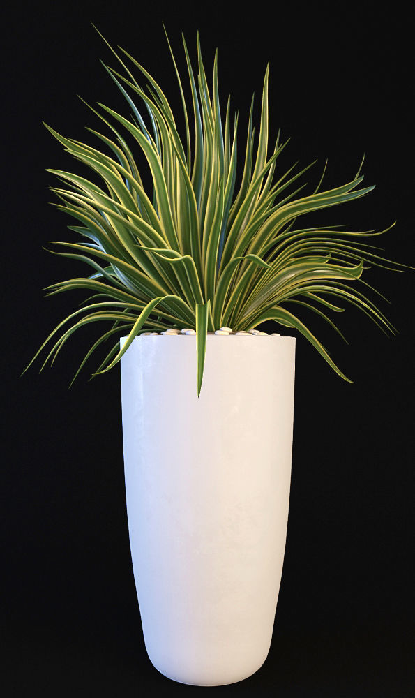 Plants 19 3D model_12