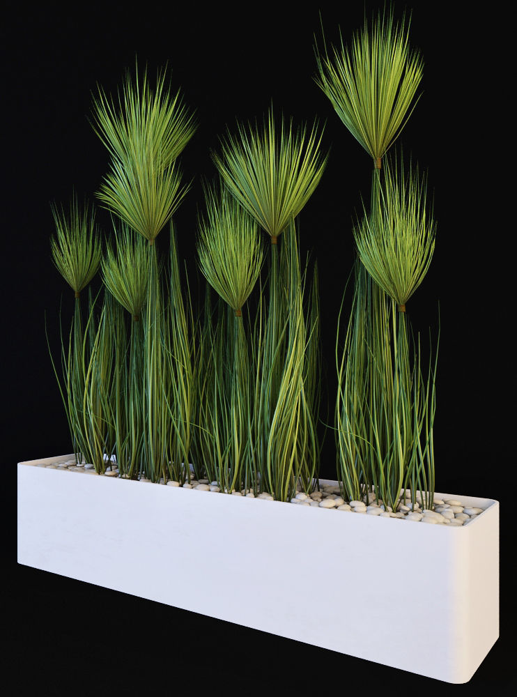 Plants 19 3D model_7