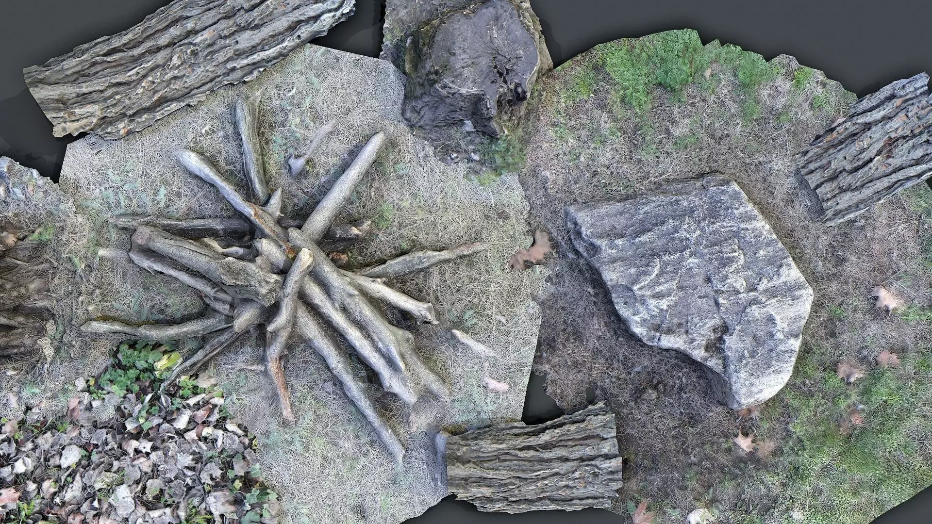 Forest pack 3d scanned Low-poly 3D model_0