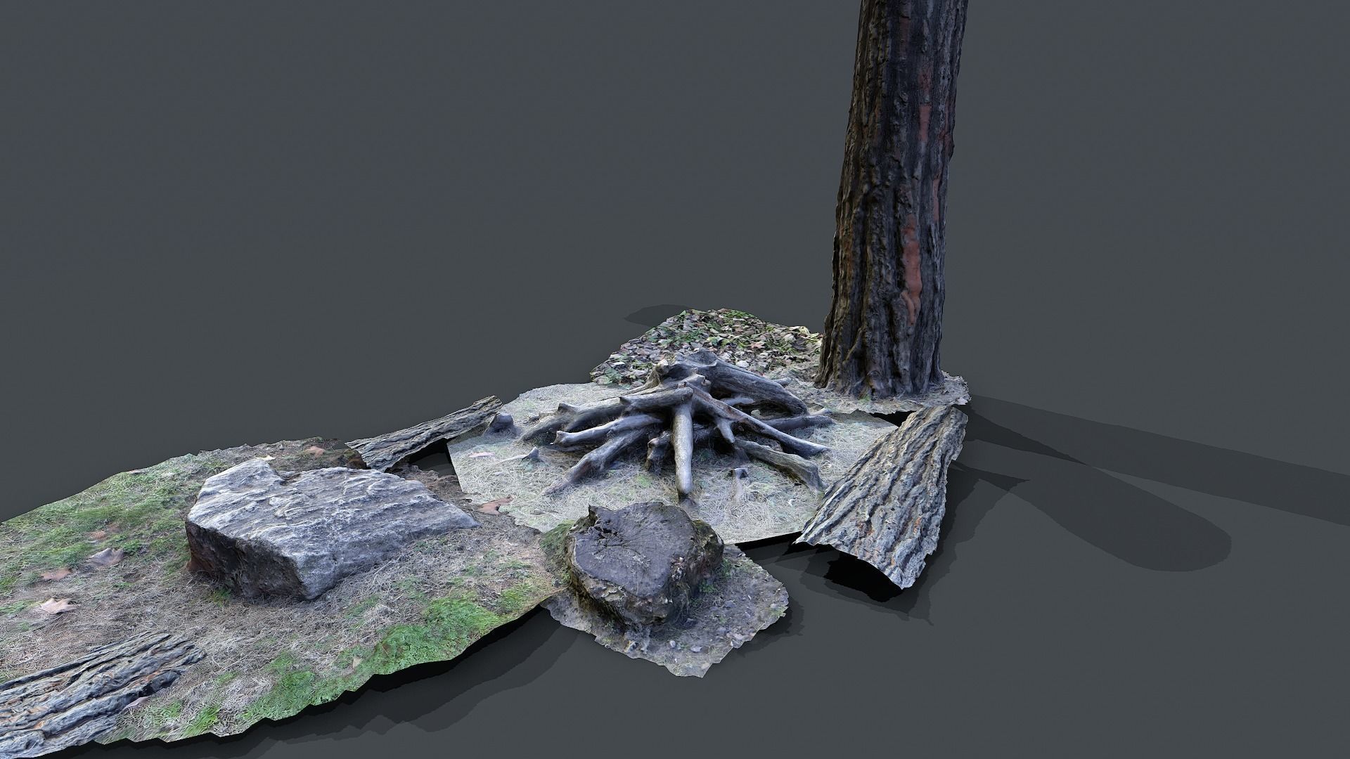 Forest pack 3d scanned Low-poly 3D model_4