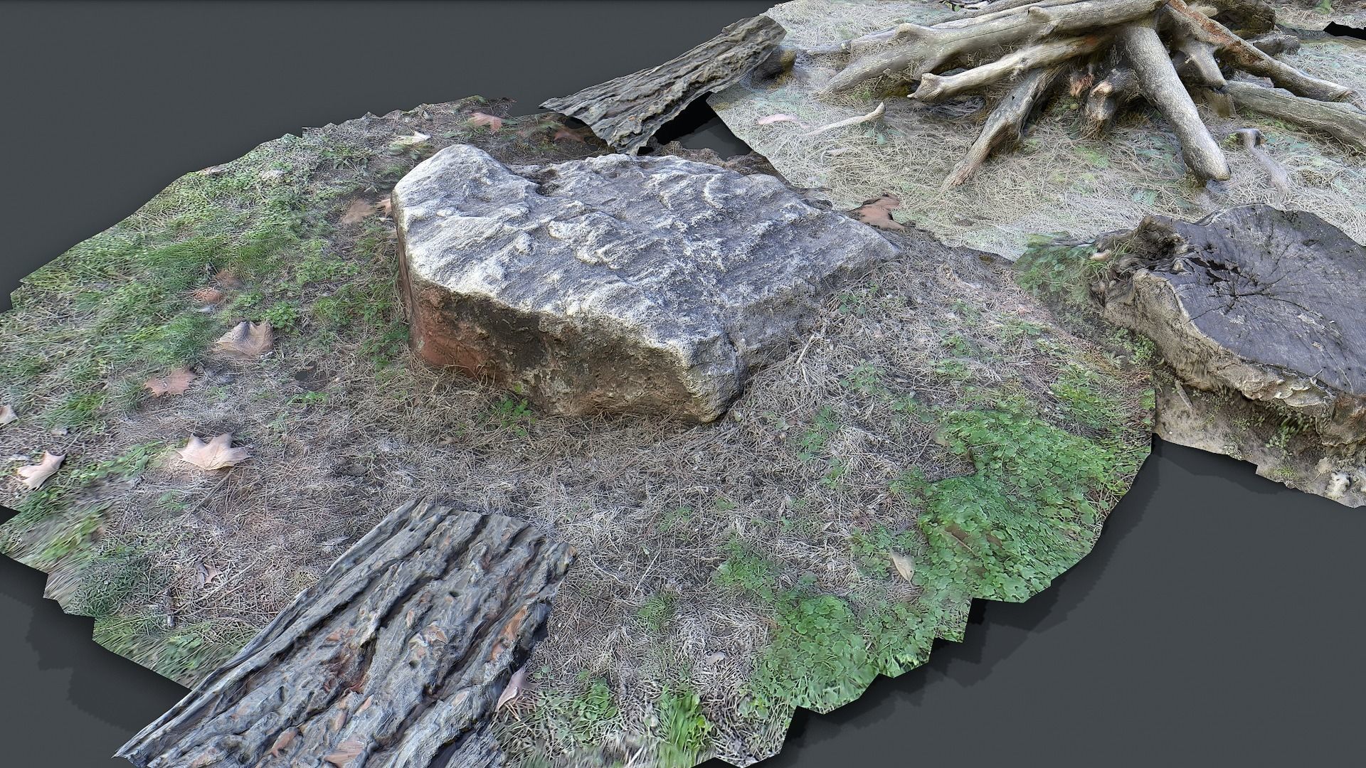 Forest pack 3d scanned Low-poly 3D model_1