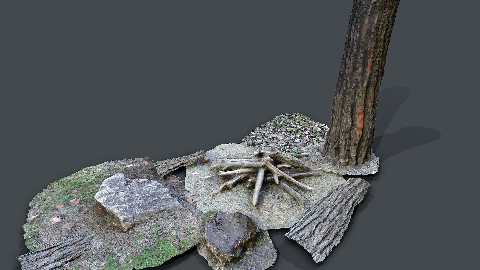 Forest pack 3d scanned Low-poly 3D model_2