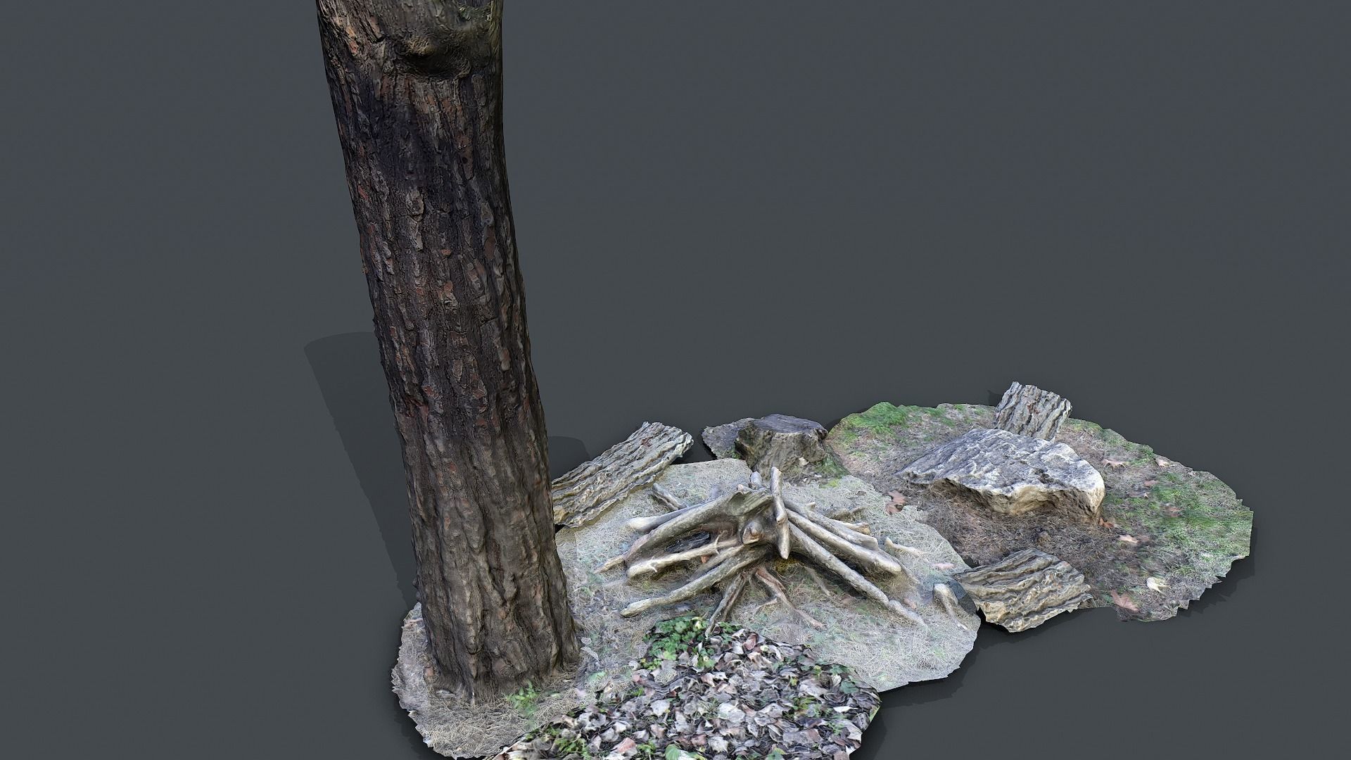 Forest pack 3d scanned Low-poly 3D model_3