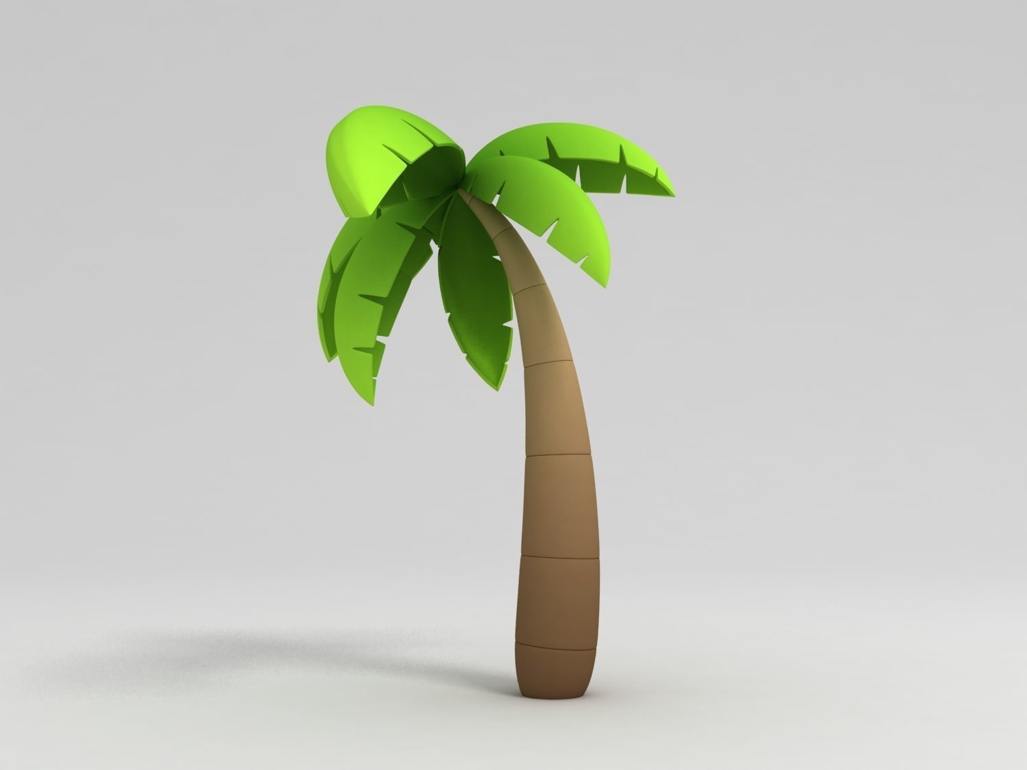 Coconut tree 3D model_3