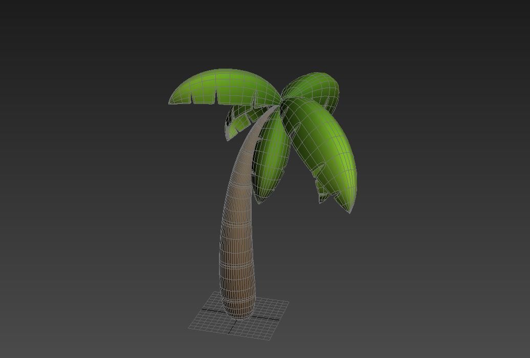 Coconut tree 3D model_6