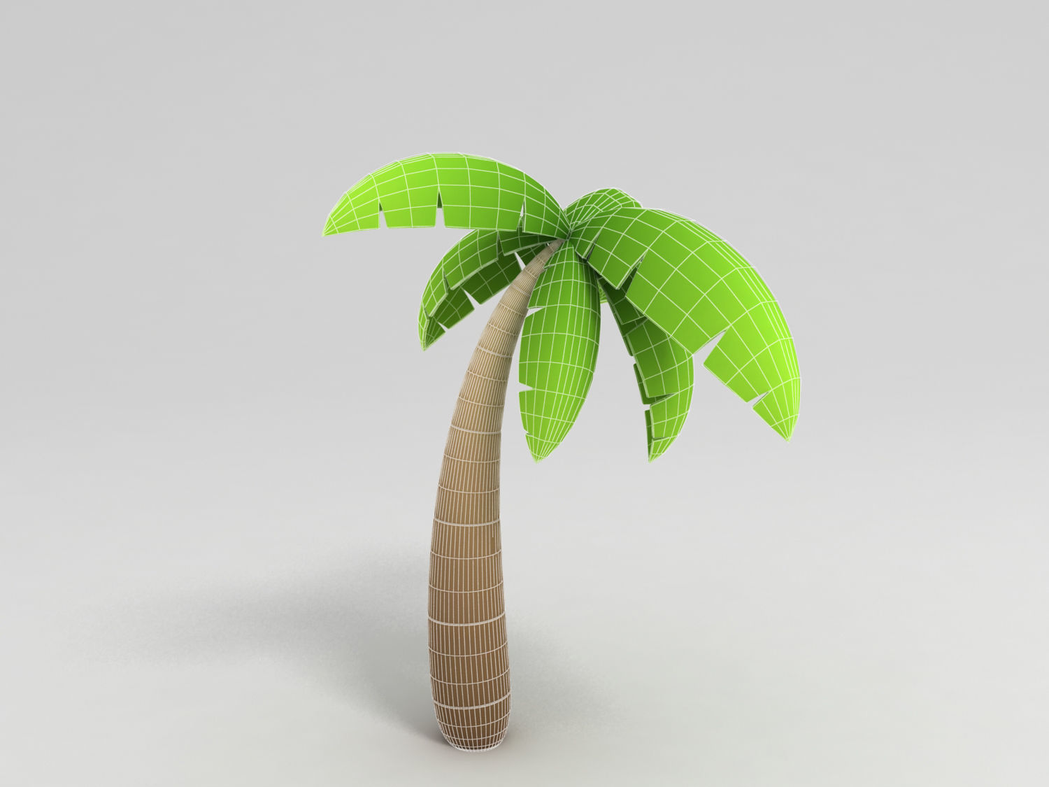 Coconut tree 3D model_2