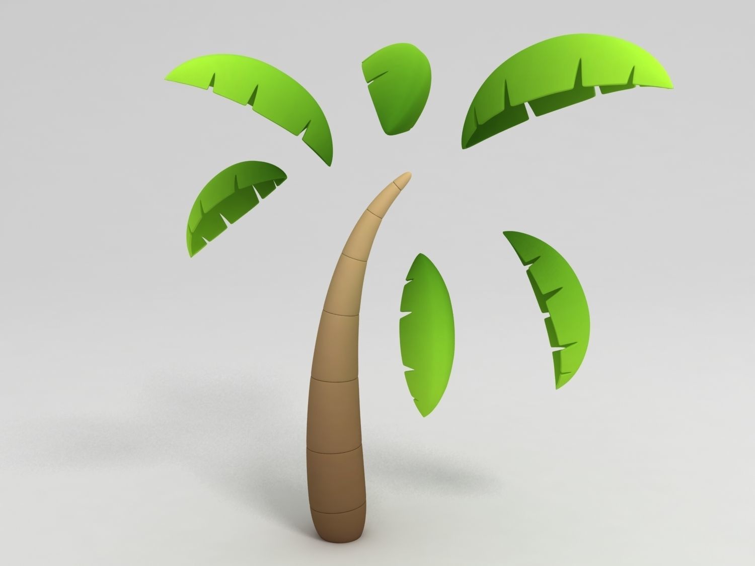 Coconut tree 3D model_4