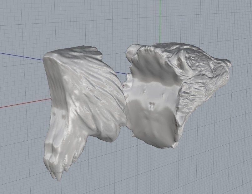 Badger with knife garda 3D print model_6