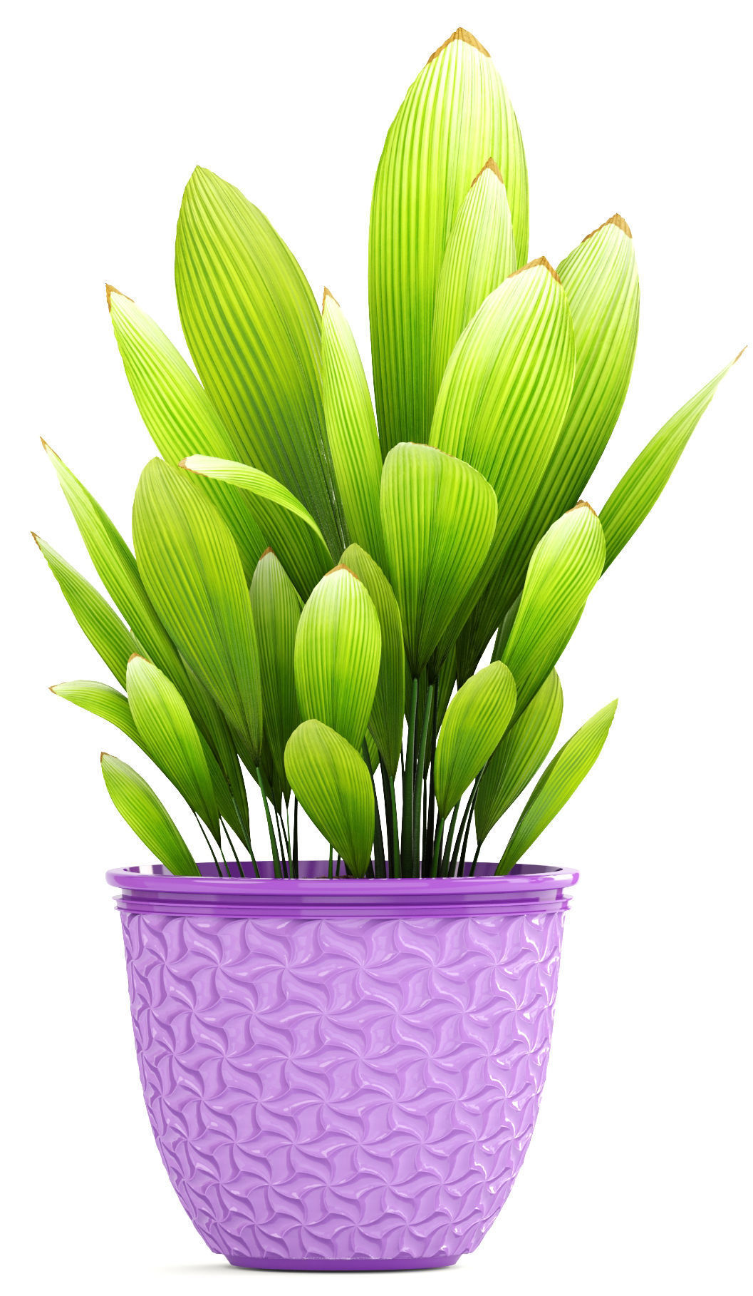 plant collection banana in basket 3D model_9