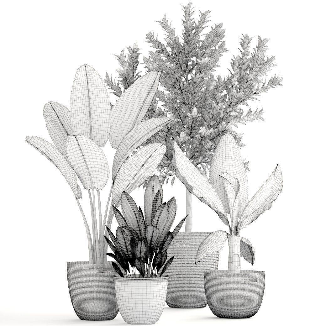 plant collection banana in basket 3D model_6