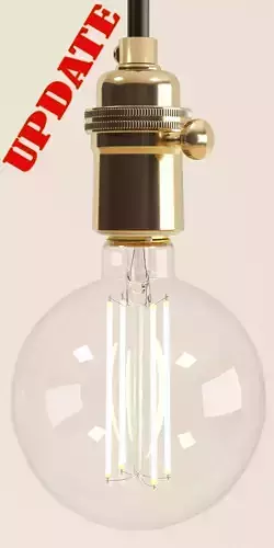 Decorative Edison LED Bulb Globe