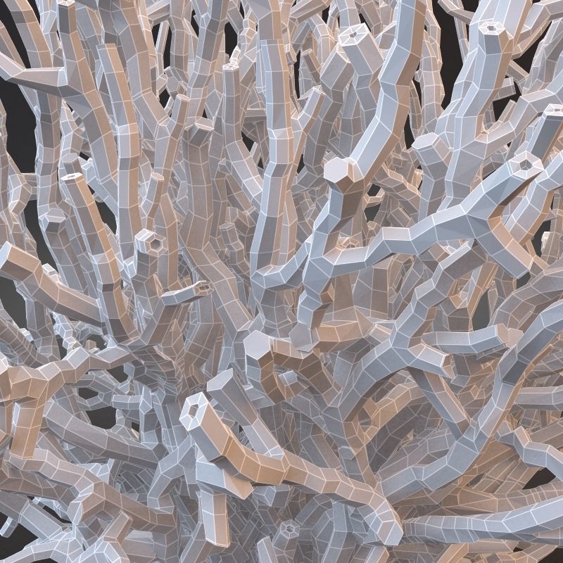 White Coral Specimen on Lucite Stand 3D model_7