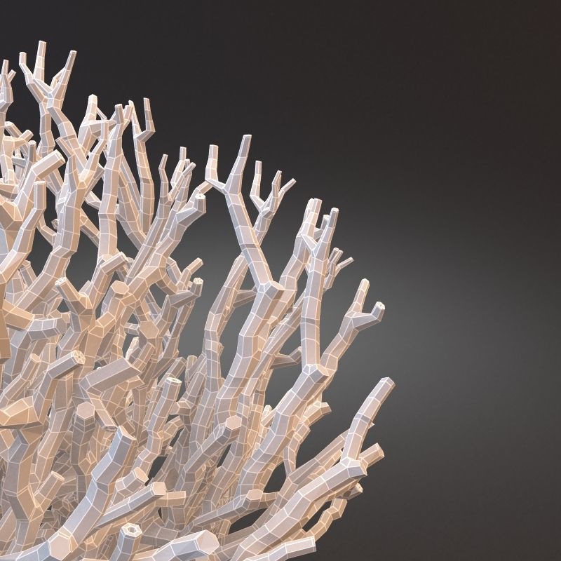 White Coral Specimen on Lucite Stand 3D model_10