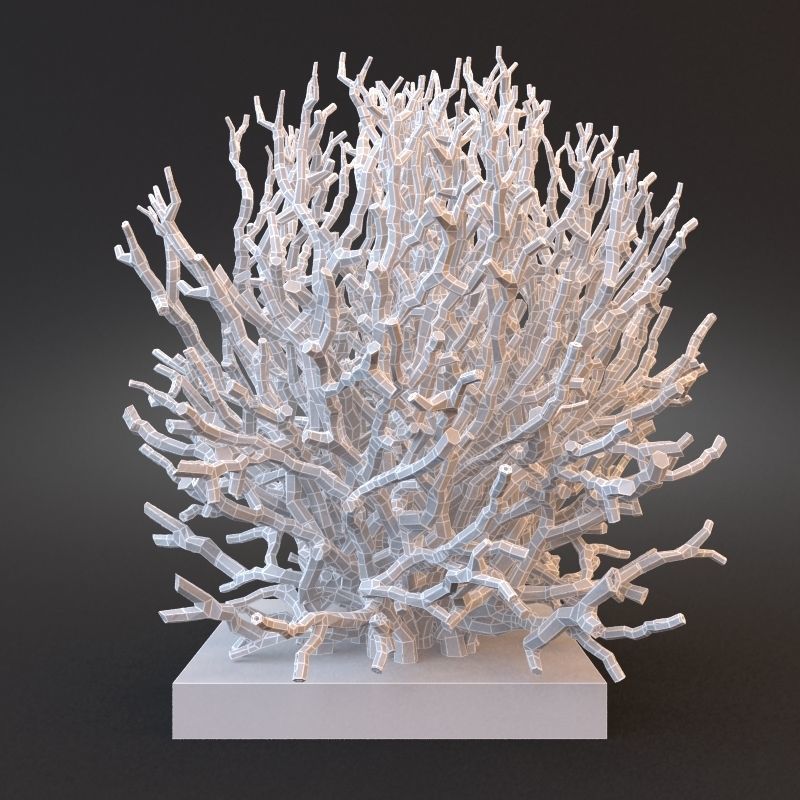 White Coral Specimen on Lucite Stand 3D model_4