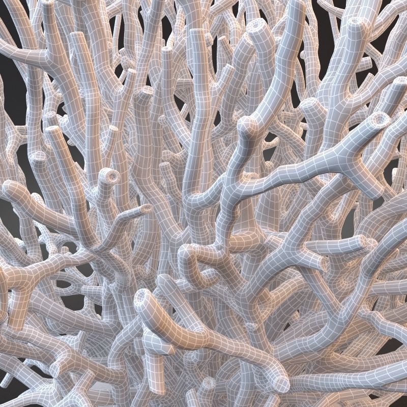 White Coral Specimen on Lucite Stand 3D model_11