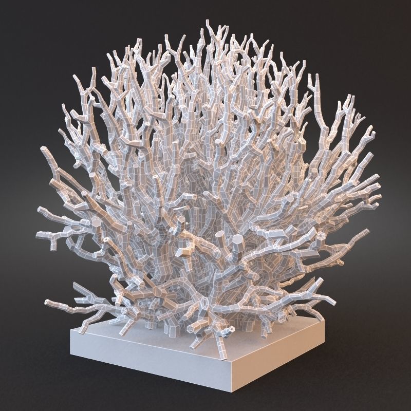 White Coral Specimen on Lucite Stand 3D model_3