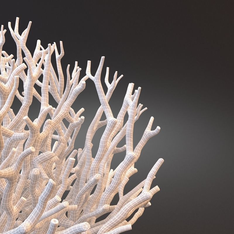 White Coral Specimen on Lucite Stand 3D model_8