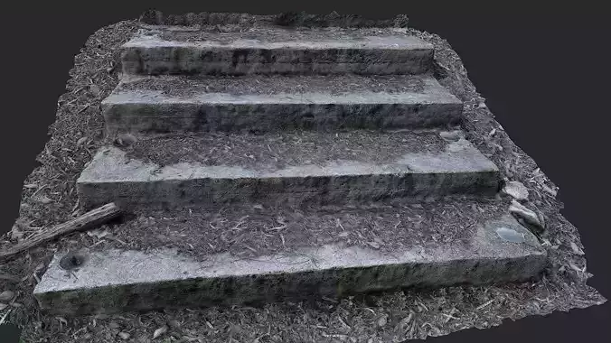 forest stairs steps 3d scanned