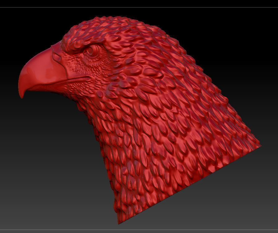 Eagle head  3D print model_9