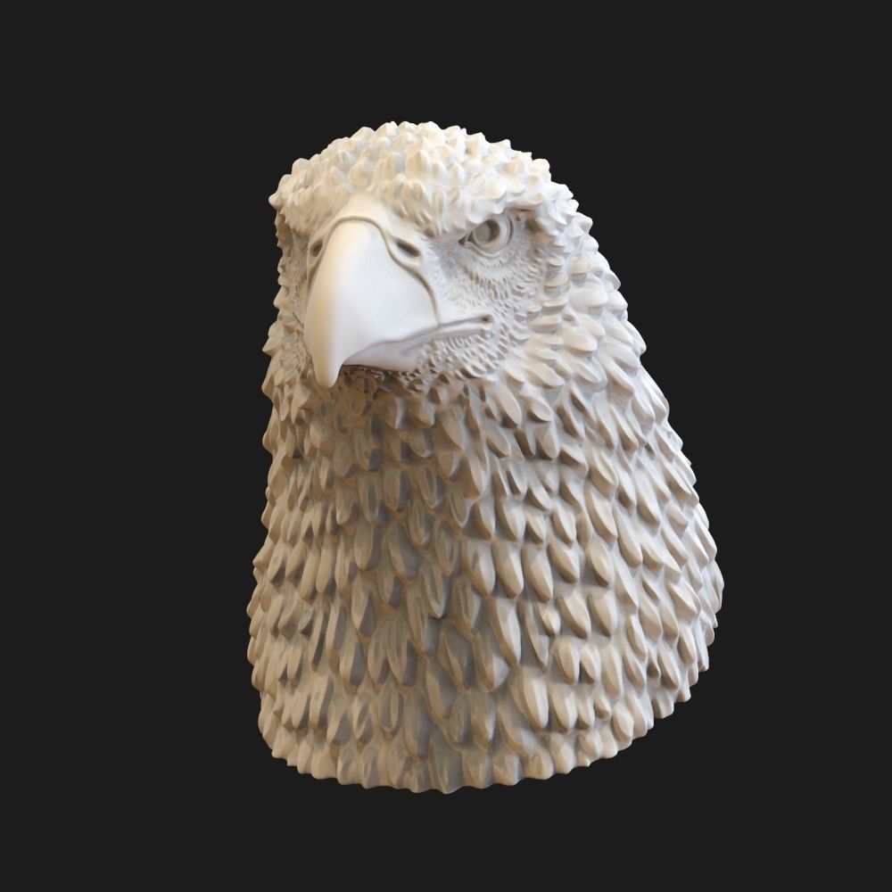 Eagle head  3D print model_3