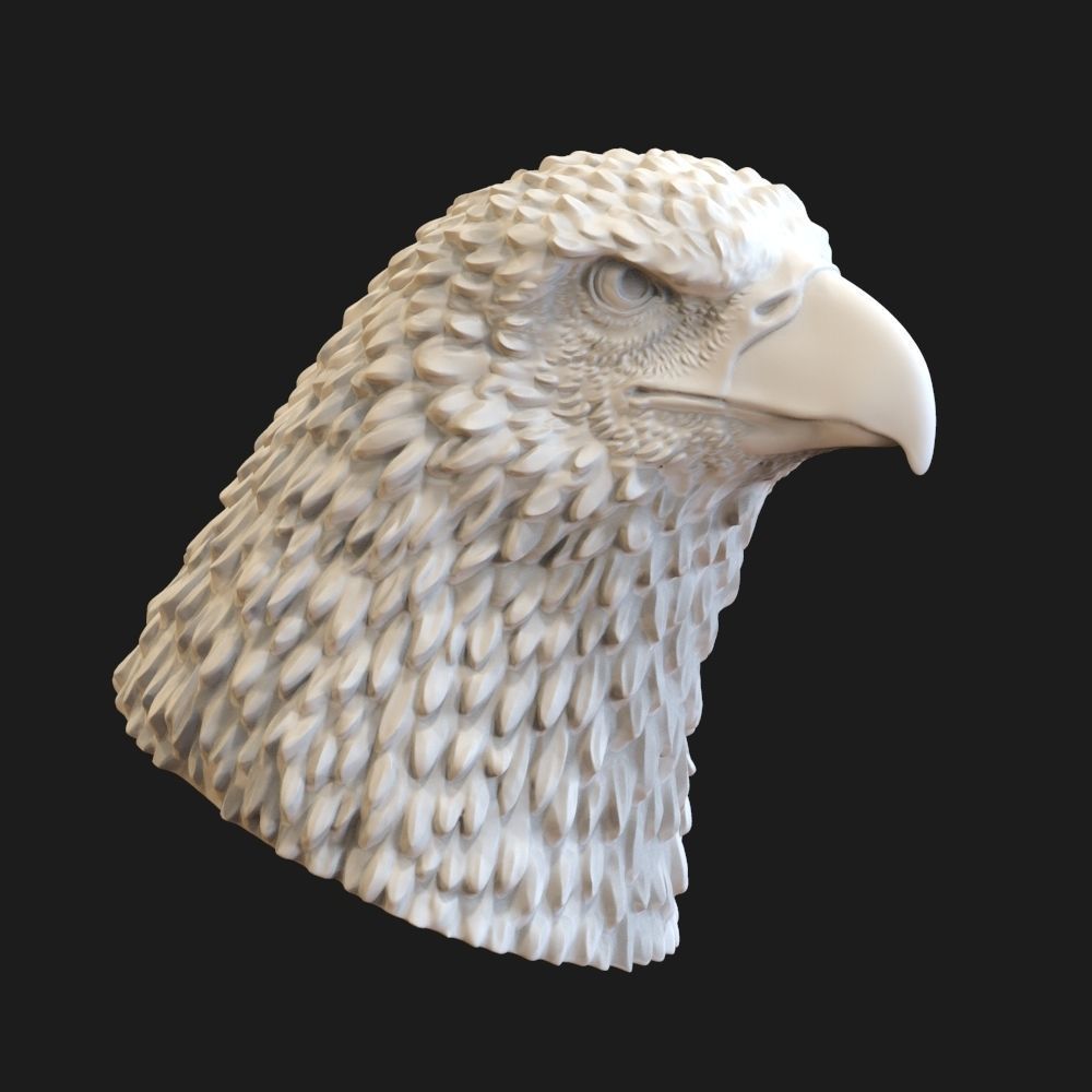 Eagle head  3D print model_1