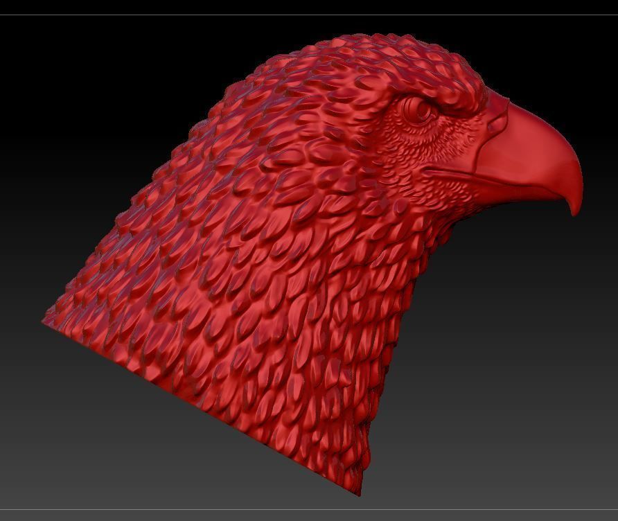 Eagle head  3D print model_12