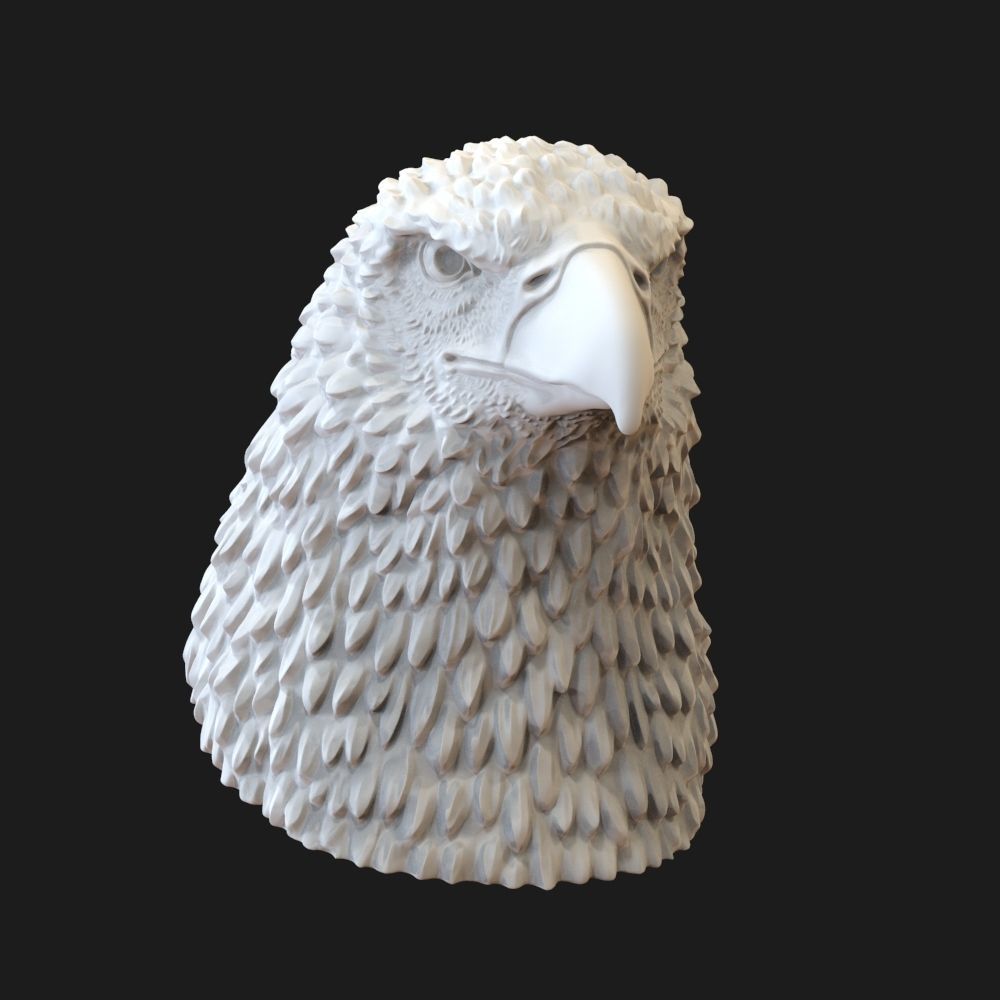 Eagle head  3D print model_2
