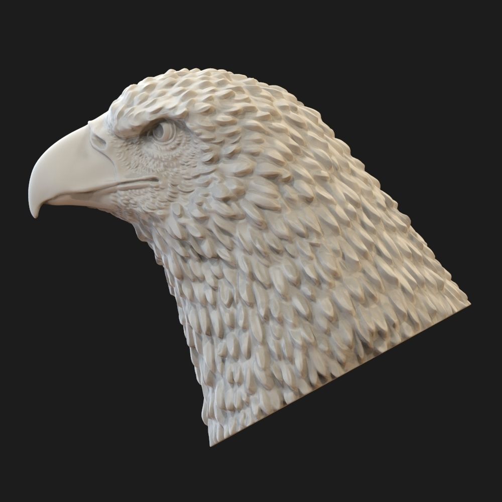 Eagle head  3D print model_6