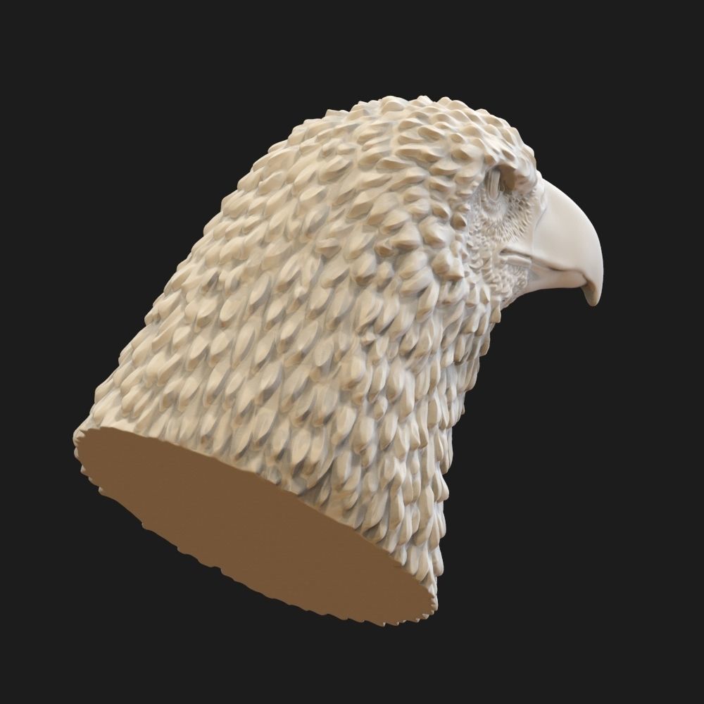 Eagle head  3D print model_7