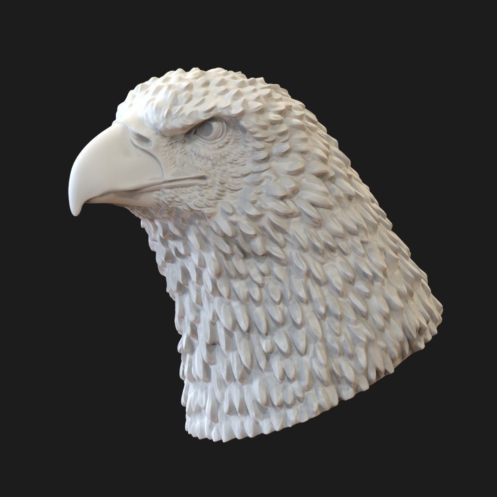 Eagle head  3D print model_4