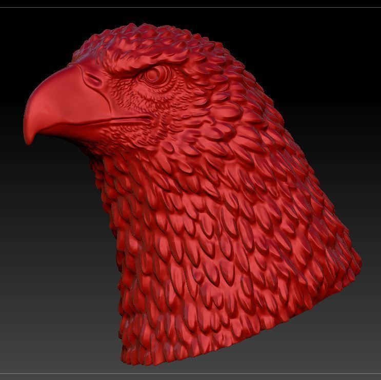 Eagle head  3D print model_14