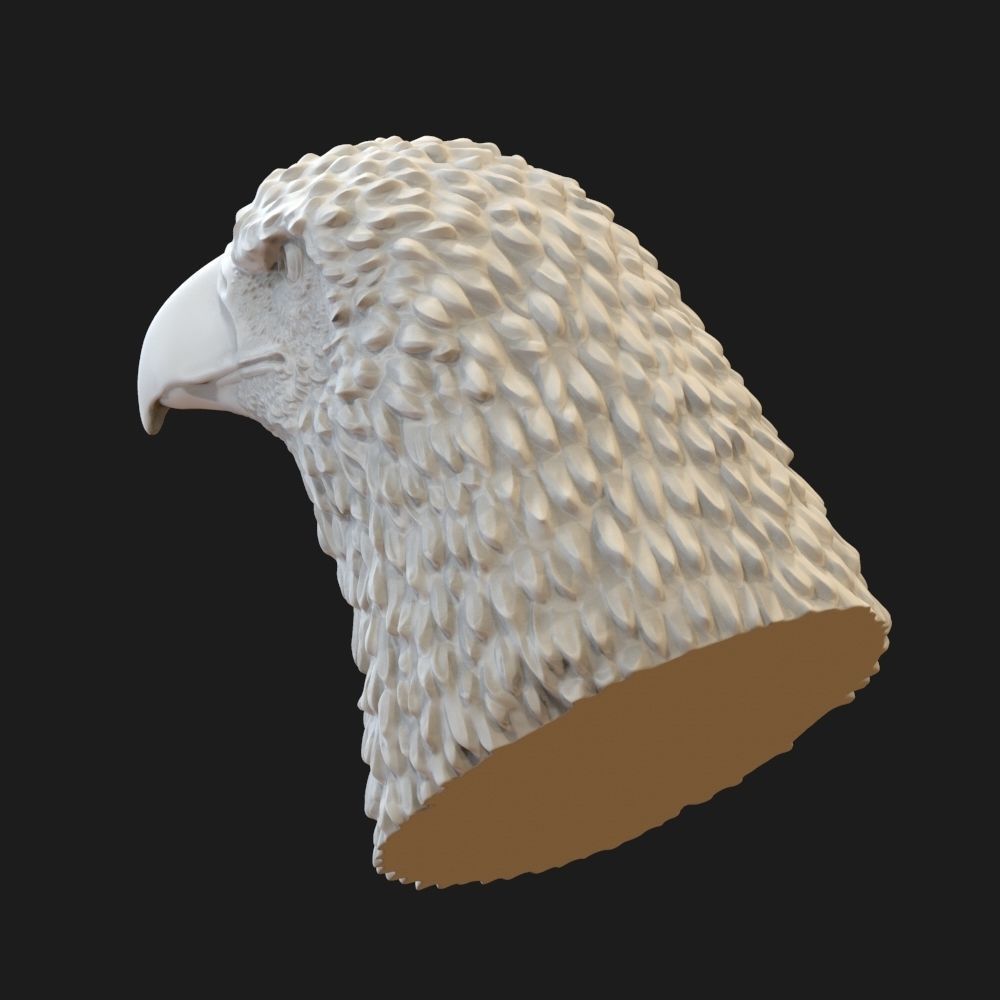Eagle head  3D print model_5