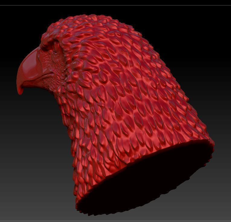 Eagle head  3D print model_10