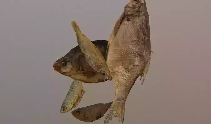 Scanned photorealistic dried fish Low-poly 3D model
