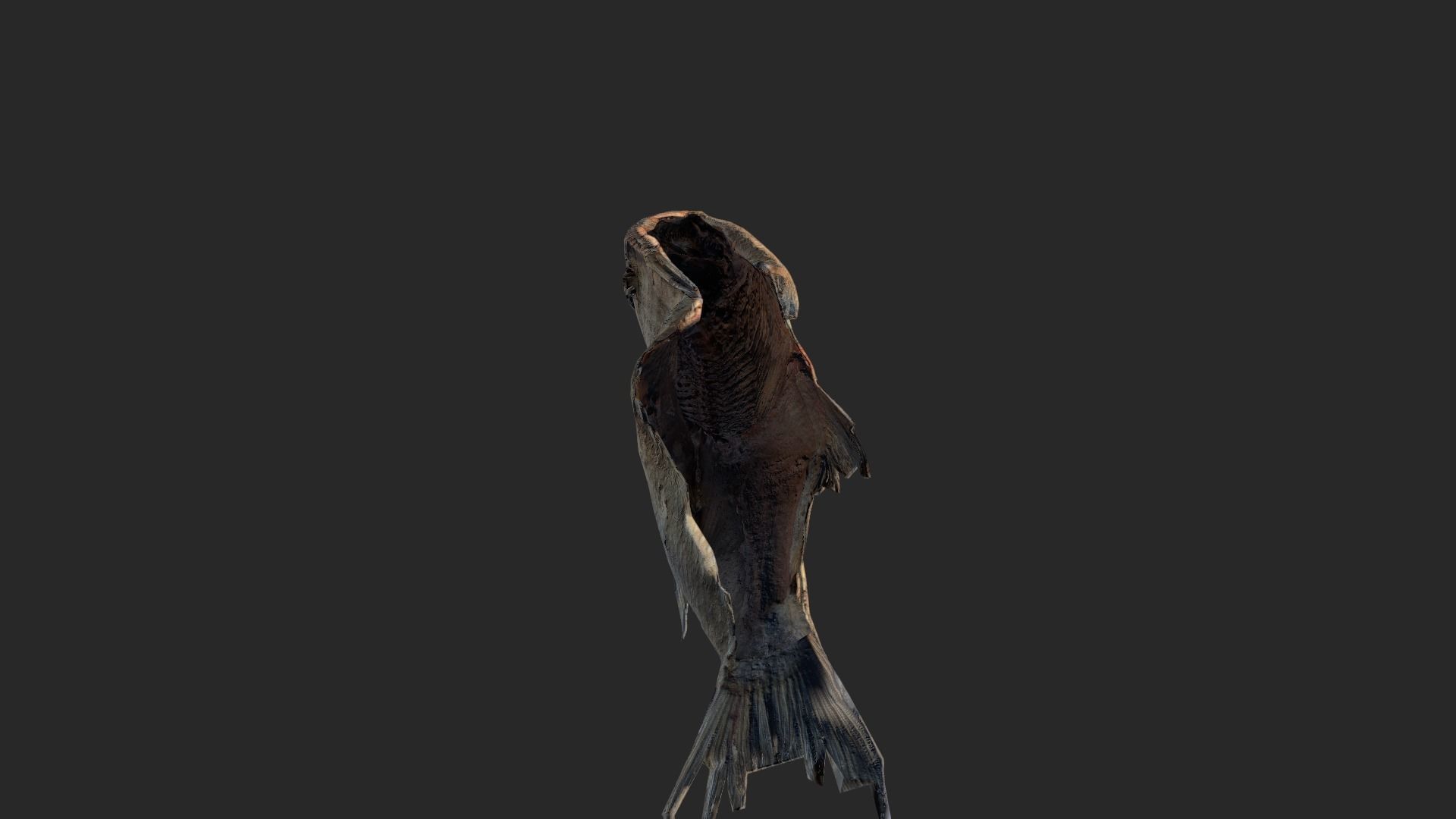 Scanned photorealistic dried fish Low-poly 3D model_18