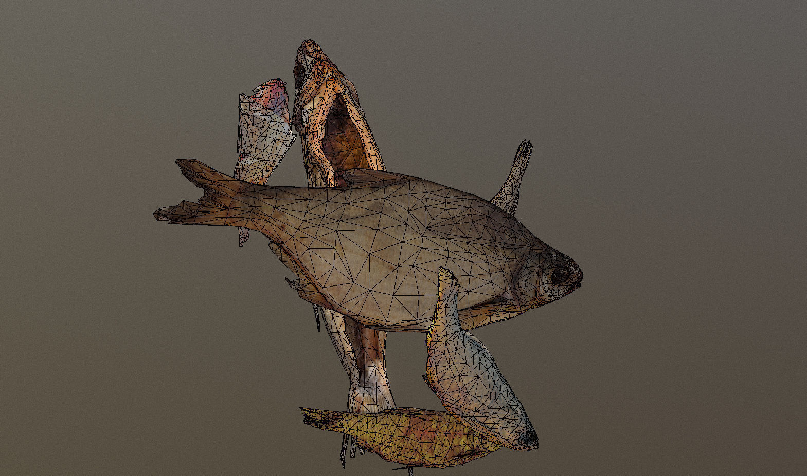 Scanned photorealistic dried fish Low-poly 3D model_33