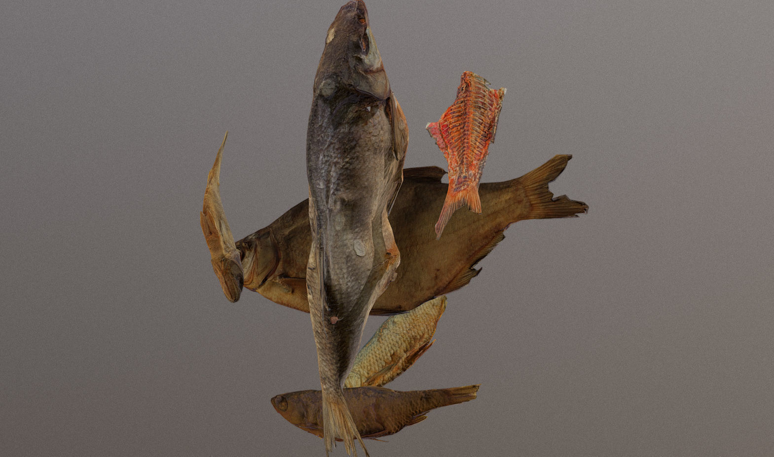 Scanned photorealistic dried fish Low-poly 3D model_34
