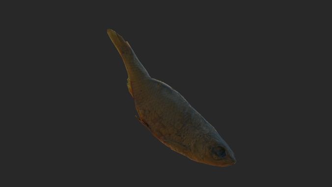 Scanned photorealistic dried fish Low-poly 3D model 6