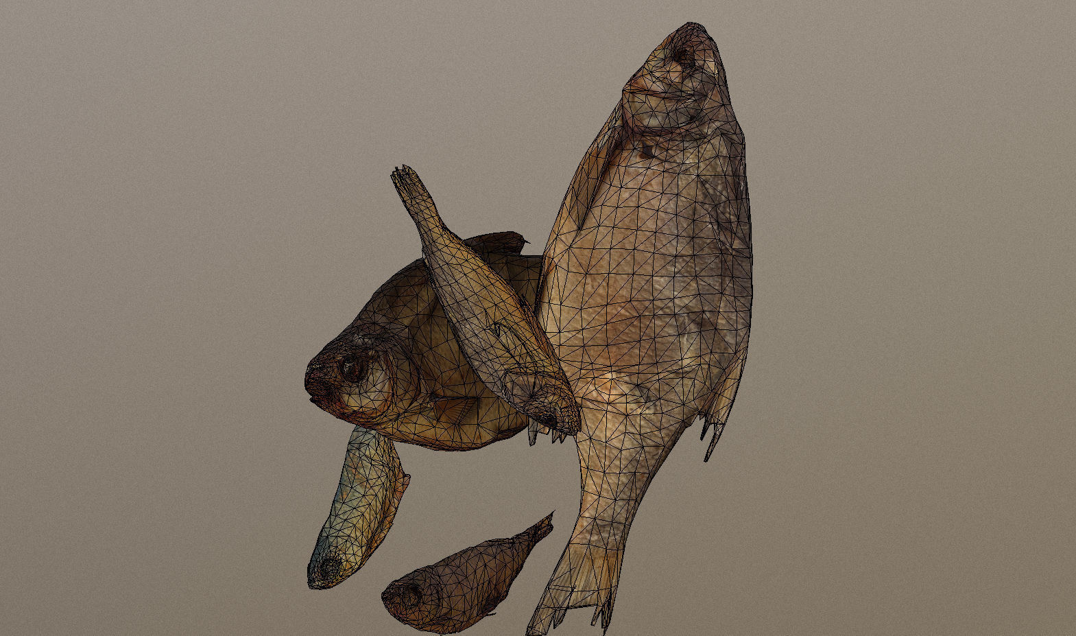 Scanned photorealistic dried fish Low-poly 3D model_30
