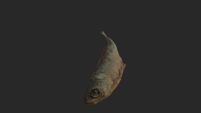 Scanned photorealistic dried fish Low-poly 3D model 5