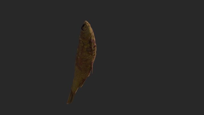 Scanned photorealistic dried fish Low-poly 3D model 4