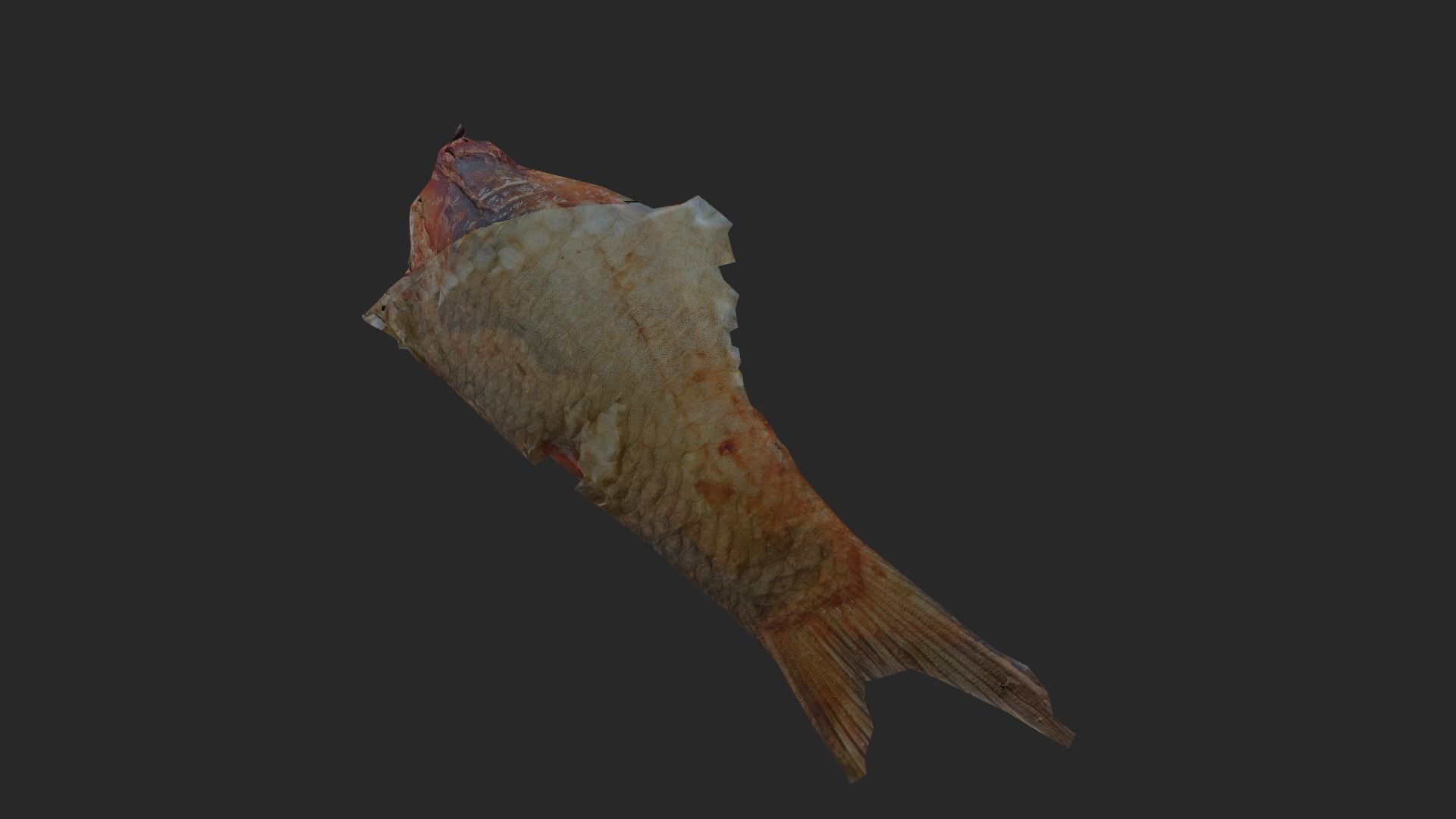 Scanned photorealistic dried fish Low-poly 3D model_27