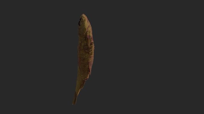 Scanned photorealistic dried fish Low-poly 3D model 3