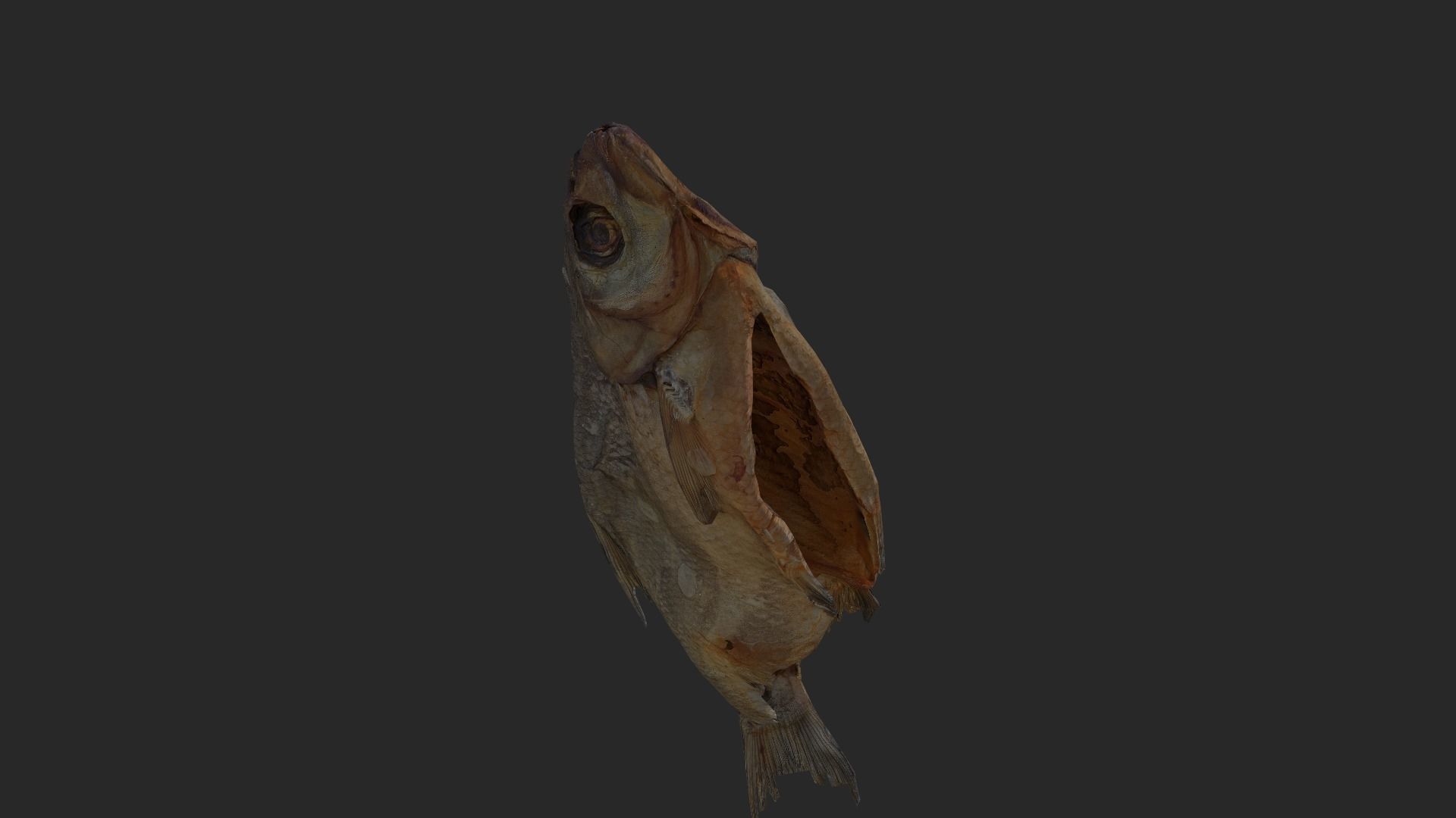 Scanned photorealistic dried fish Low-poly 3D model_23